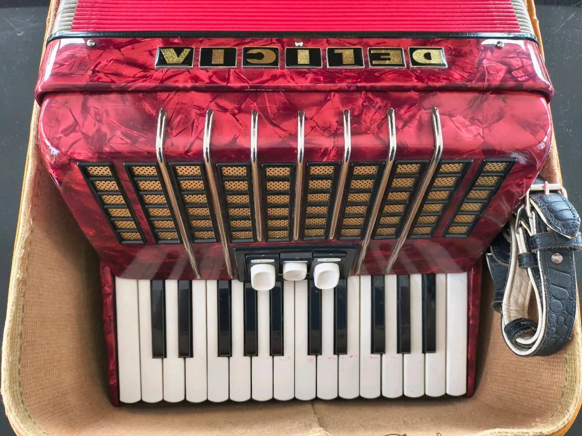 Delicia Junior II Piano Accordion - Image 3