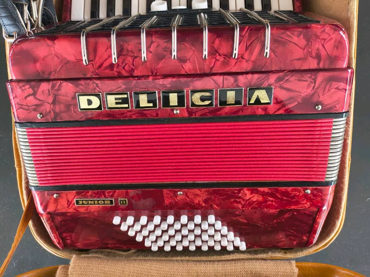 Delicia Junior II Piano Accordion - Image 4