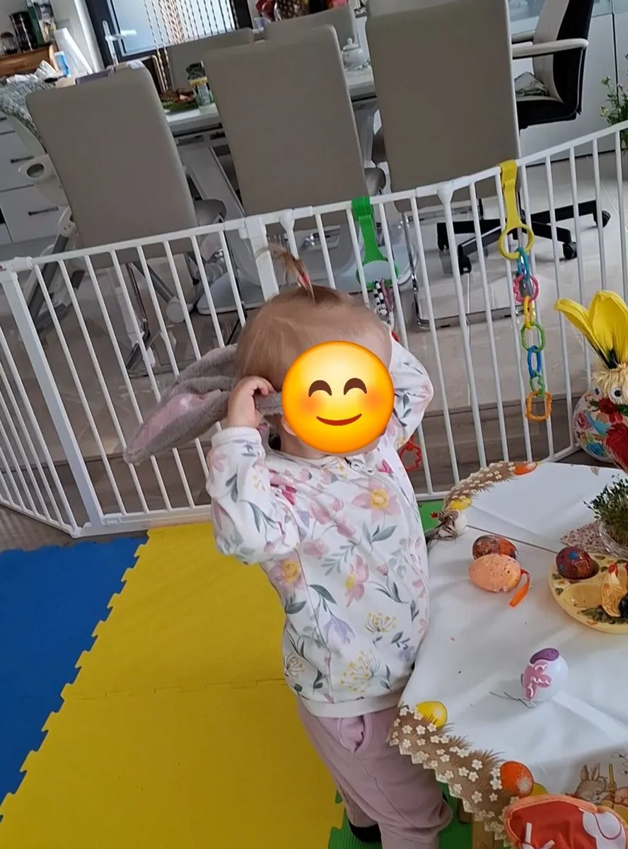 Baby Gate / Room divider - Image 3
