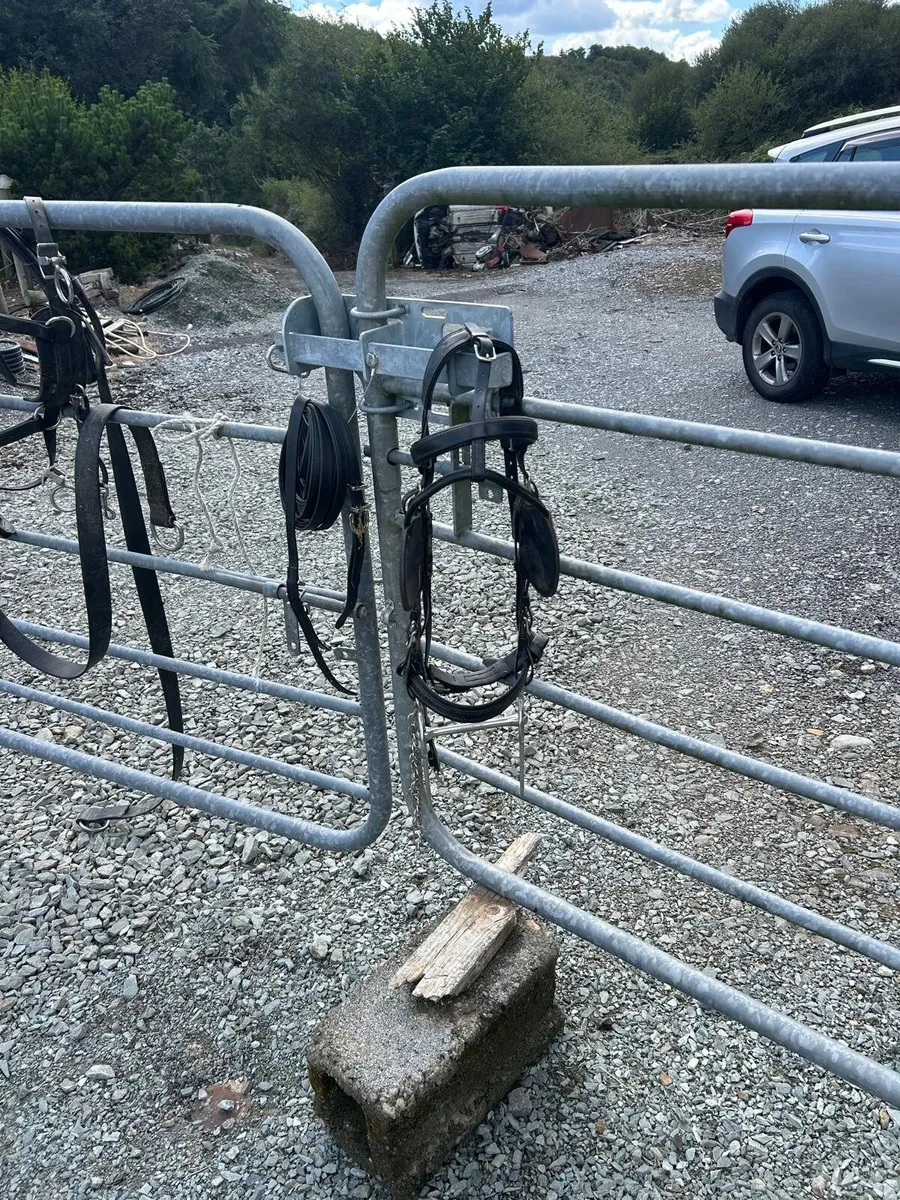 Zilco classic driving harness - Image 3