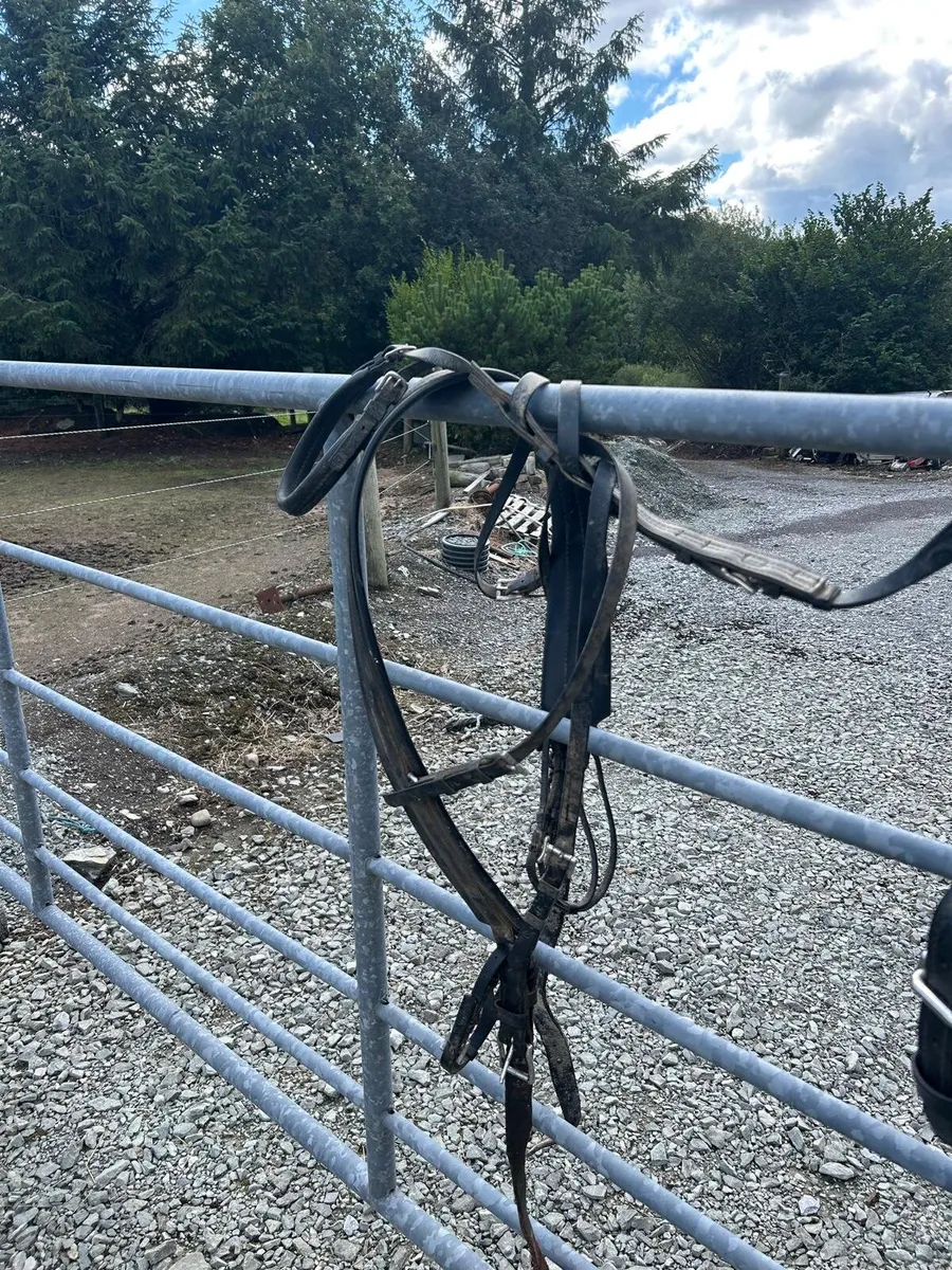 Zilco classic driving harness - Image 2