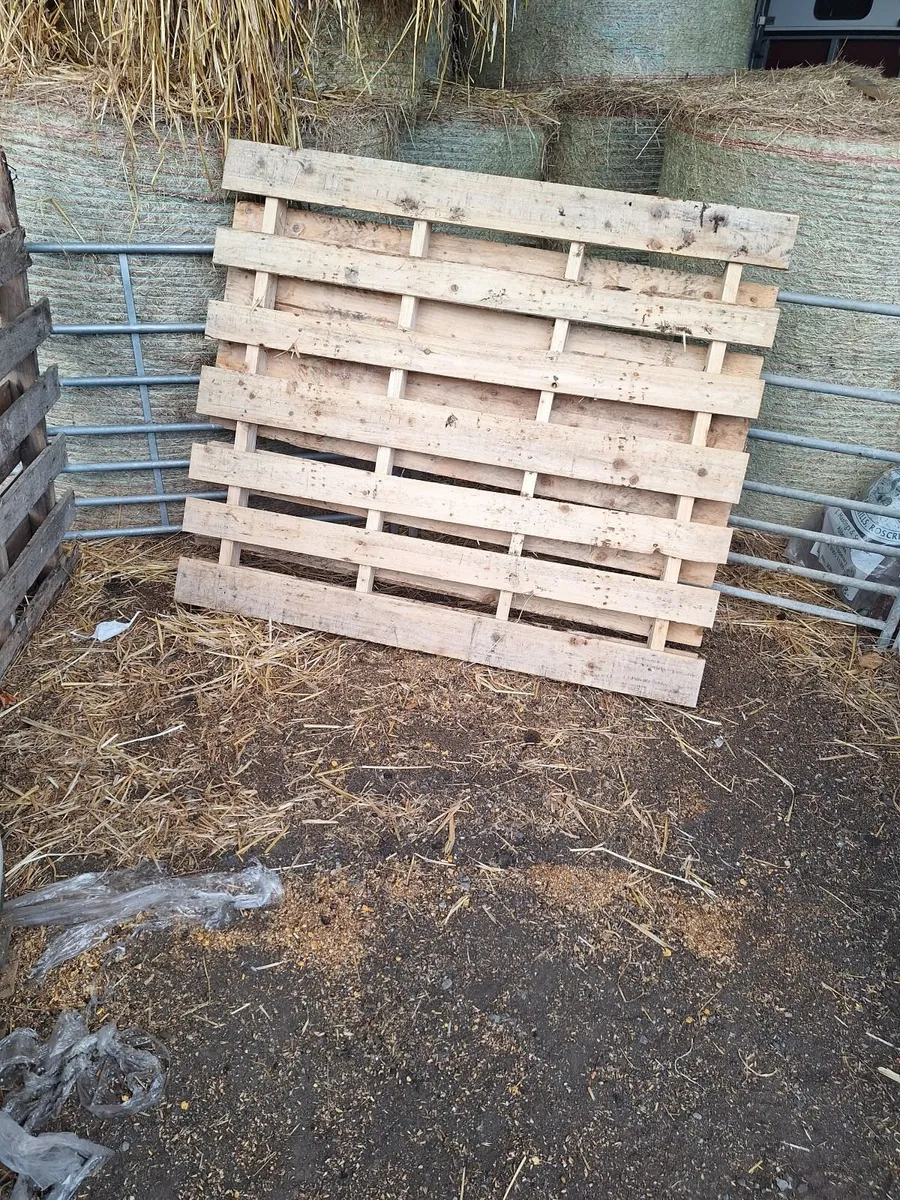 Pallets for free