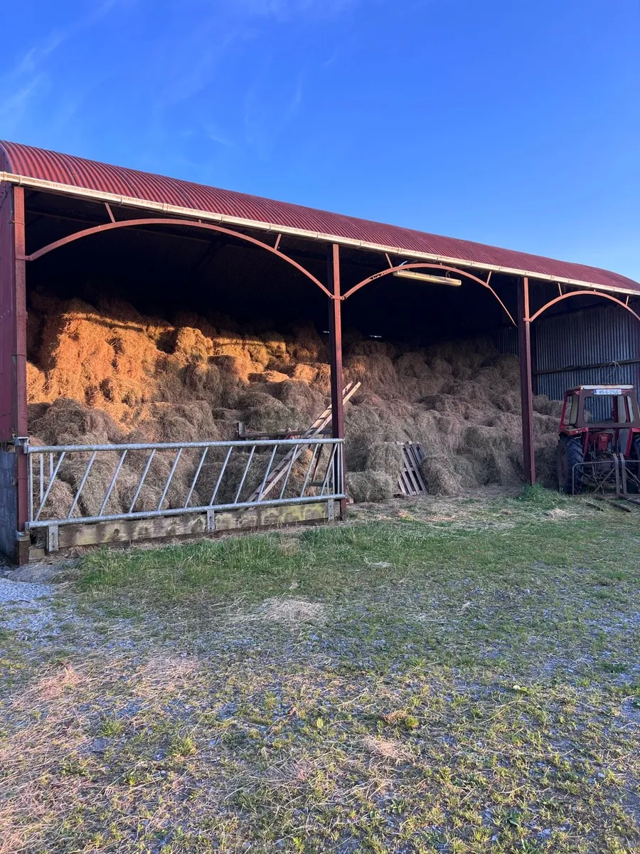 Square and Round Bales of Hay - Image 1