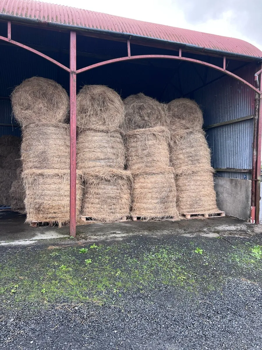 Square and Round Bales of Hay - Image 2