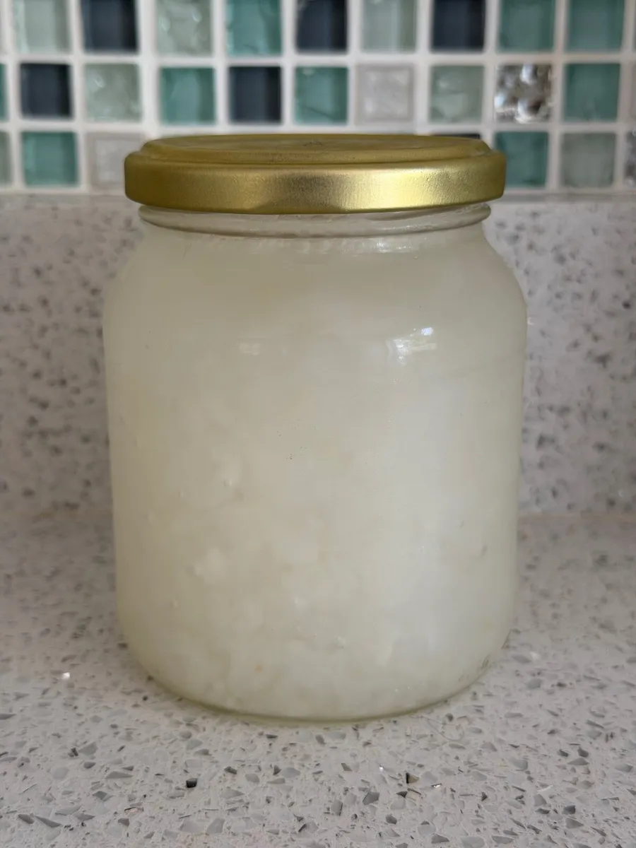 Water Kefir Grains - Image 1