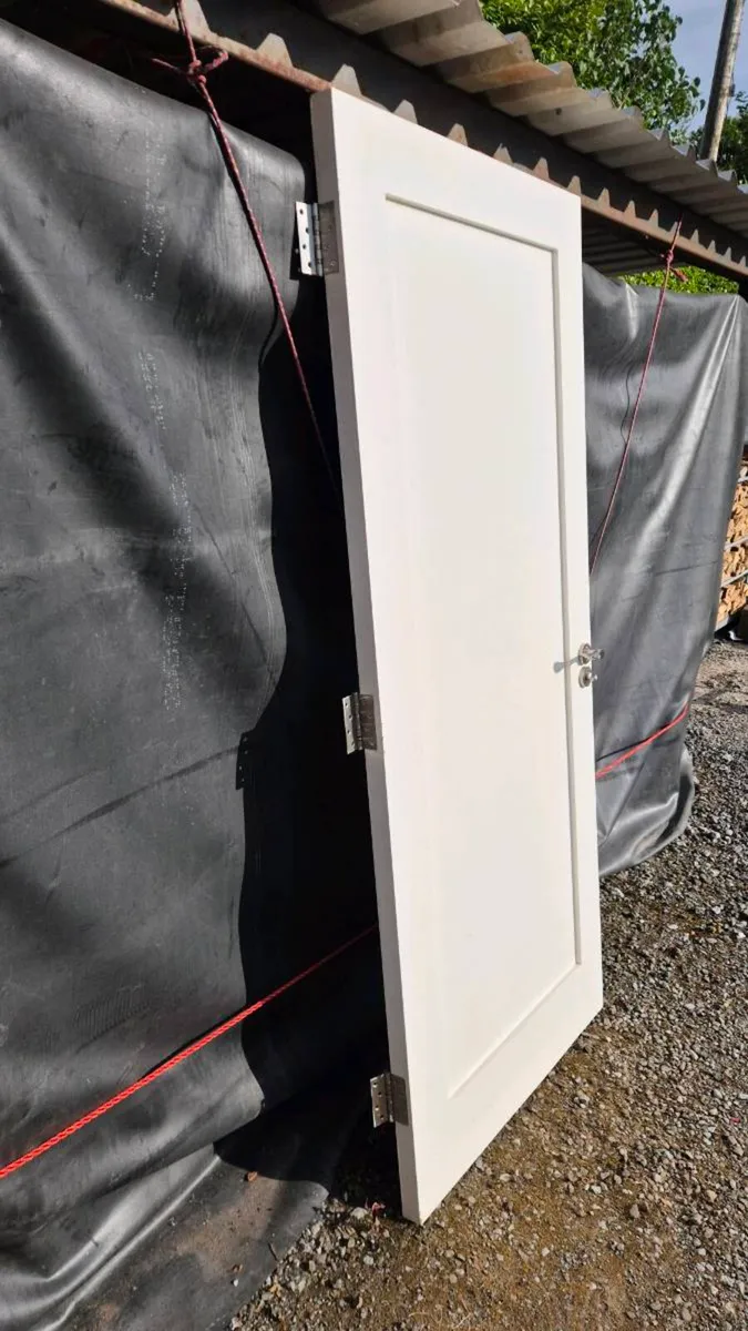 Internal white doors - Image 3