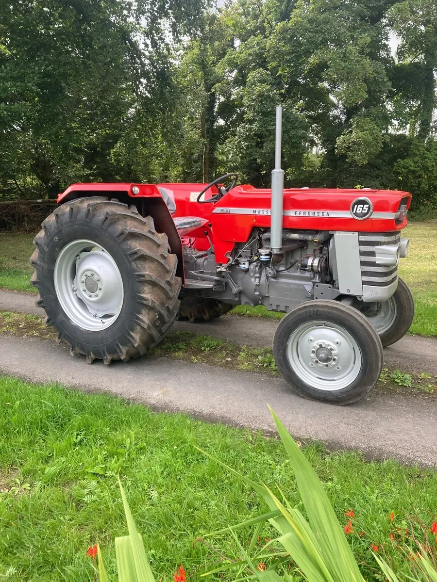 Massey Ferguson 165 - Image 1