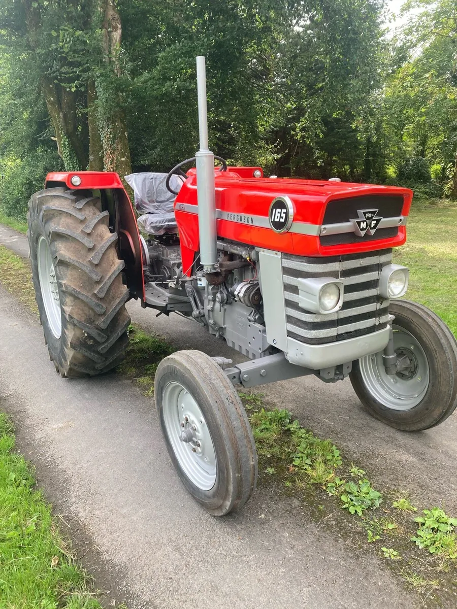 Massey Ferguson 165 - Image 2