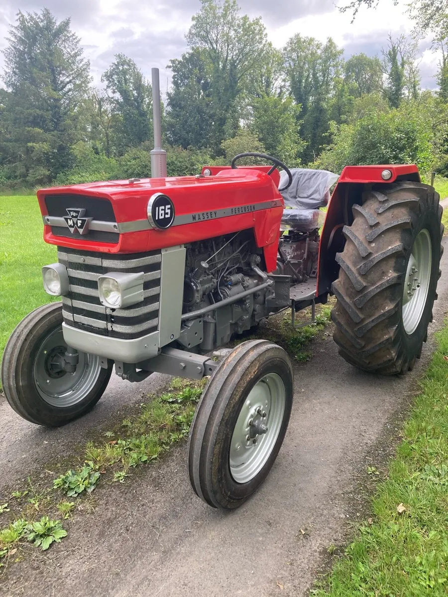 Massey Ferguson 165 - Image 3