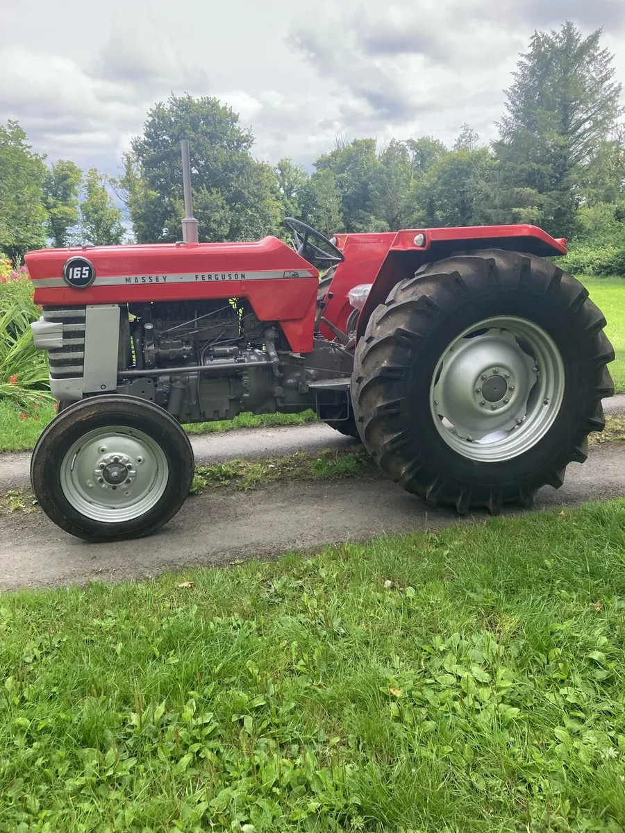 Massey Ferguson 165 - Image 4