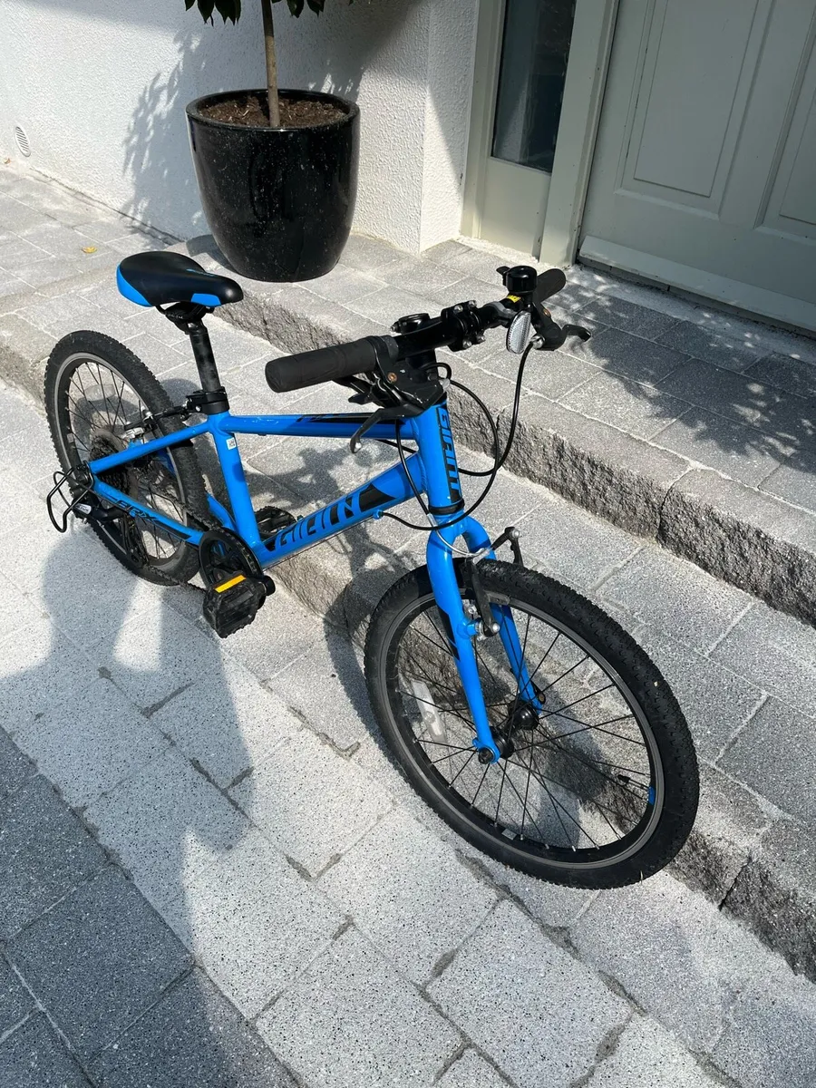 Giant ARX 20 Kids Bike - Image 1