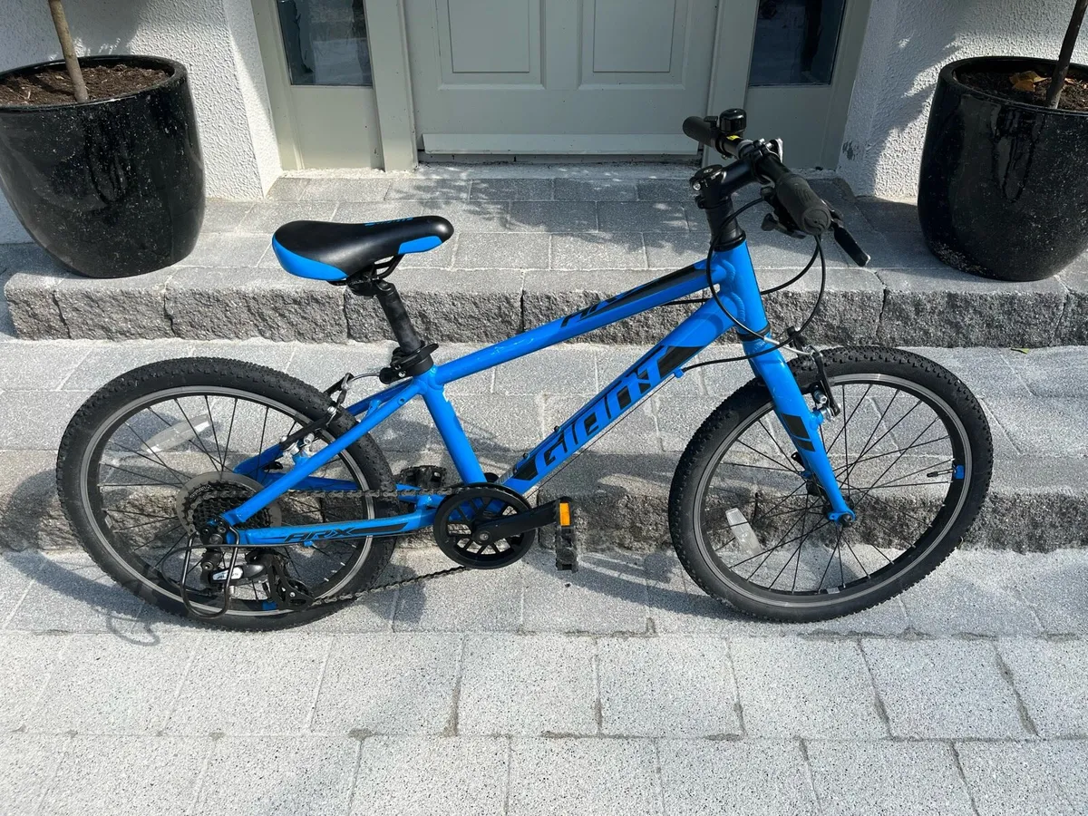 Giant ARX 20 Kids Bike - Image 3