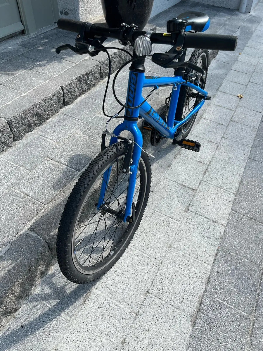 Giant ARX 20 Kids Bike - Image 4