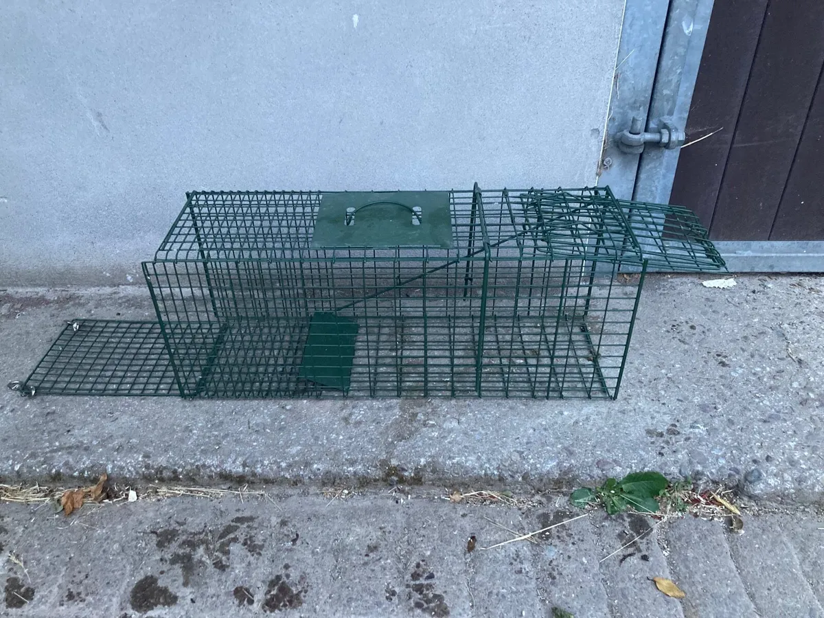 Humane live catch Cat cage trap - Image 3