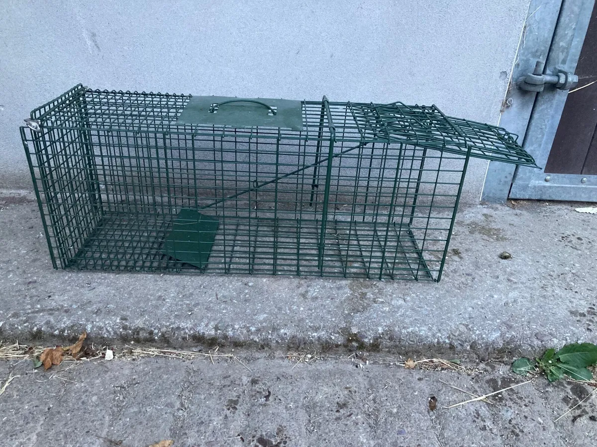 Humane live catch Cat cage trap - Image 4