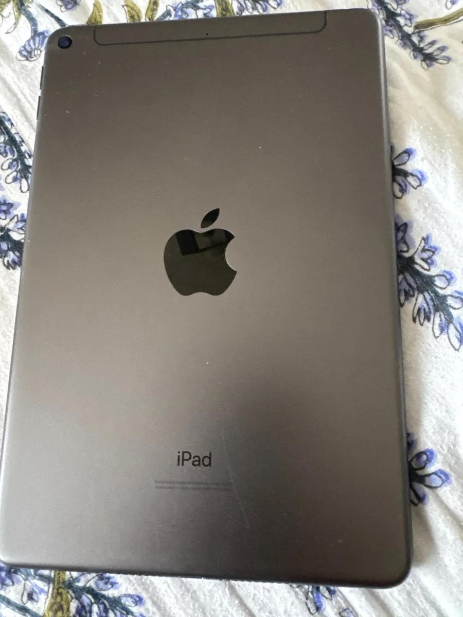 iPad mini 5th gen 256 gb with sim - Image 3