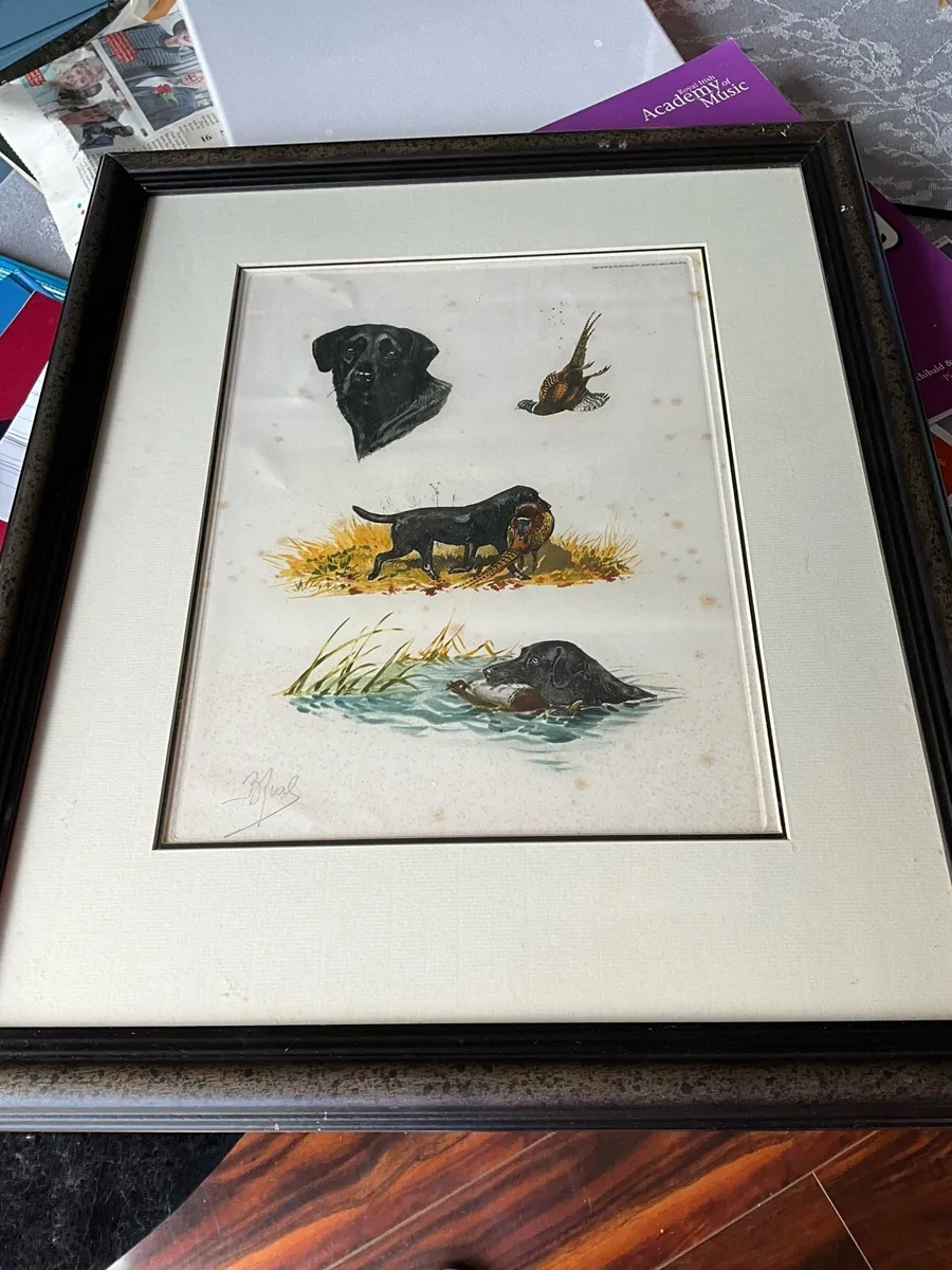 ‘Labrador Hunting Pheasant’ by Artist Boris Riab - Image 4
