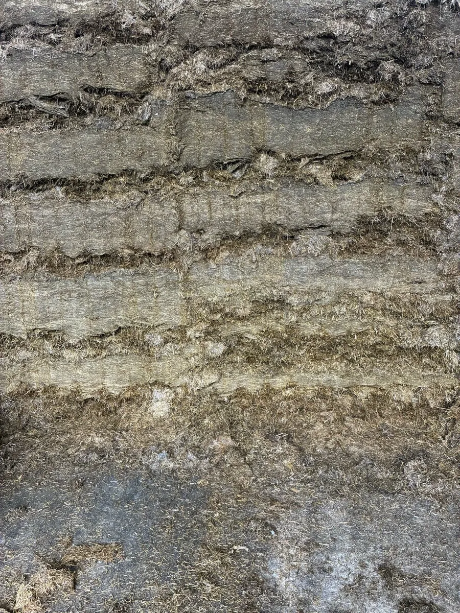 Silage - Image 1