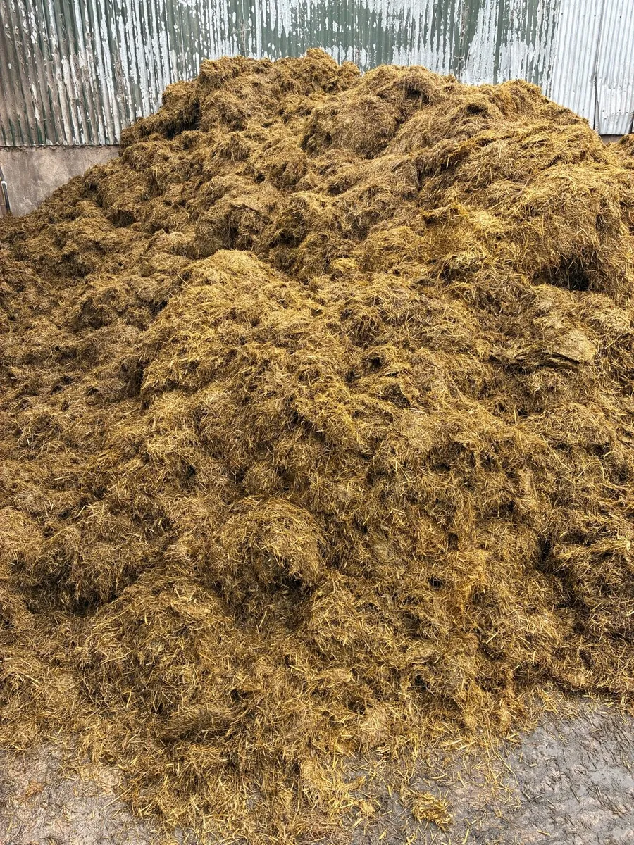 Silage - Image 3