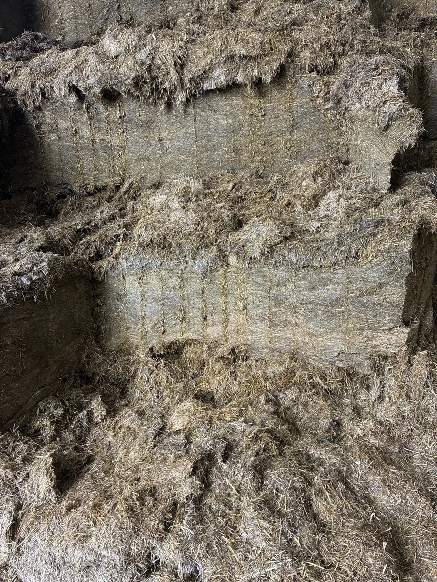 Silage - Image 2