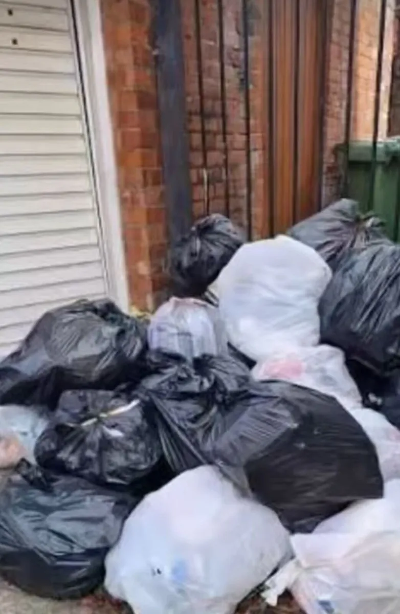 Rubbish removal - Image 3