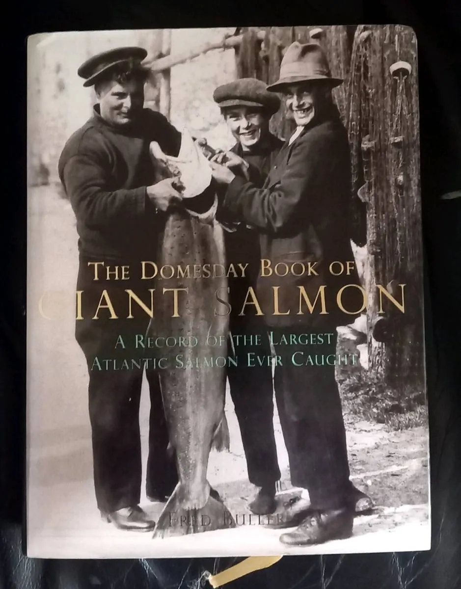 The Domesday Book Of Giant Salmon - Image 1