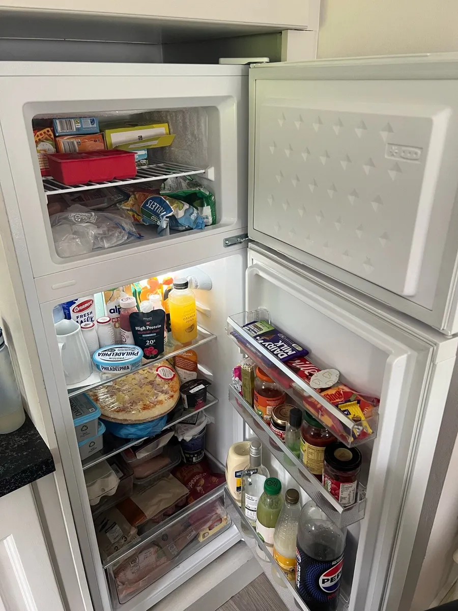 FP Fridge - Image 2