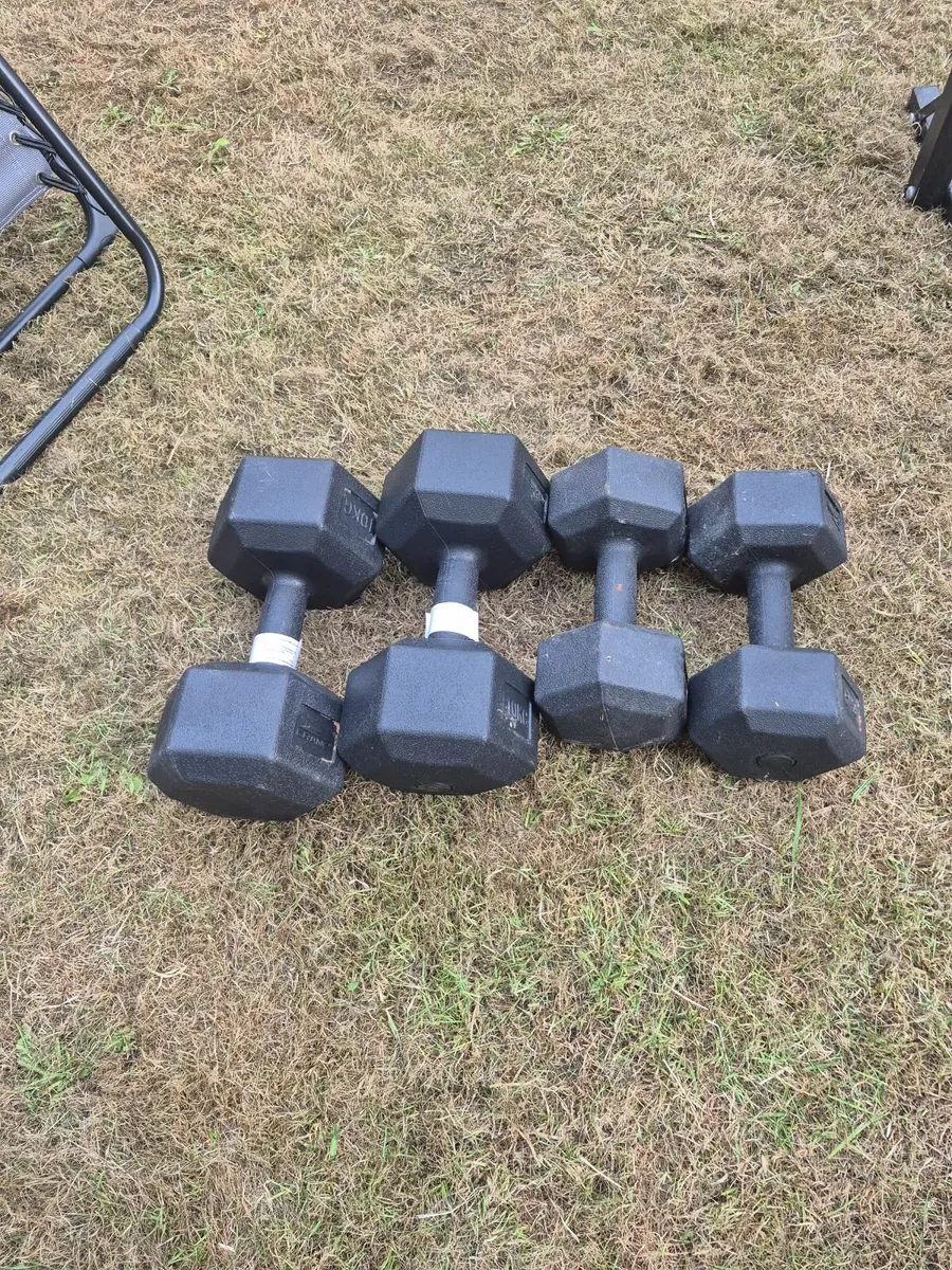 Dumbbells 2×10kg & 2×5kg