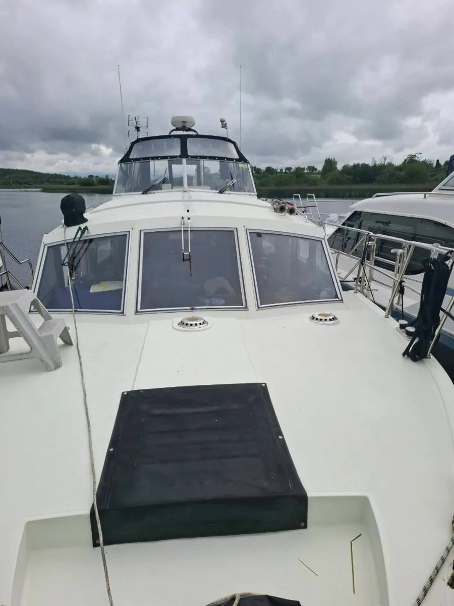 Broom crown 37 - Image 2