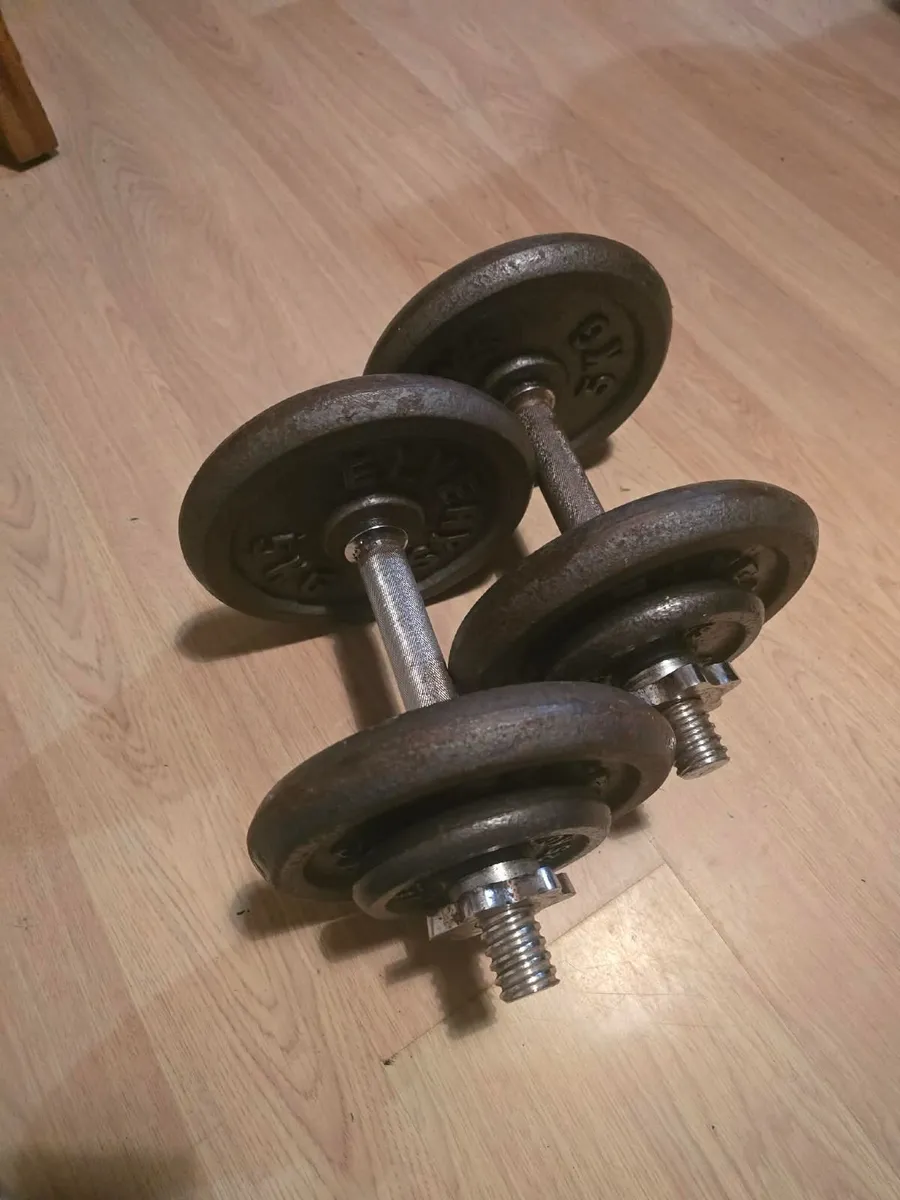 Dumbbells 2×15kg