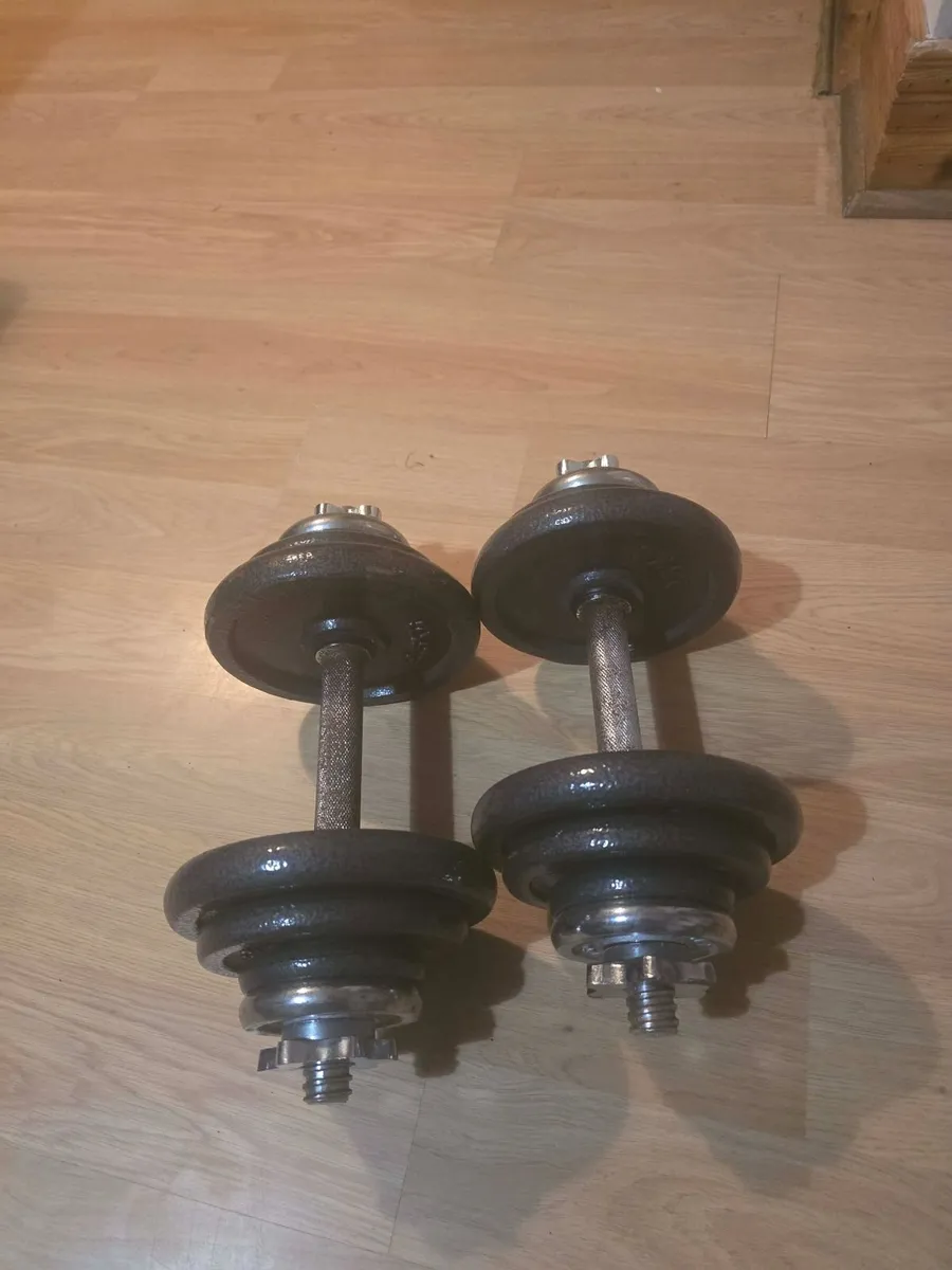 Dumbbells 2×11kg