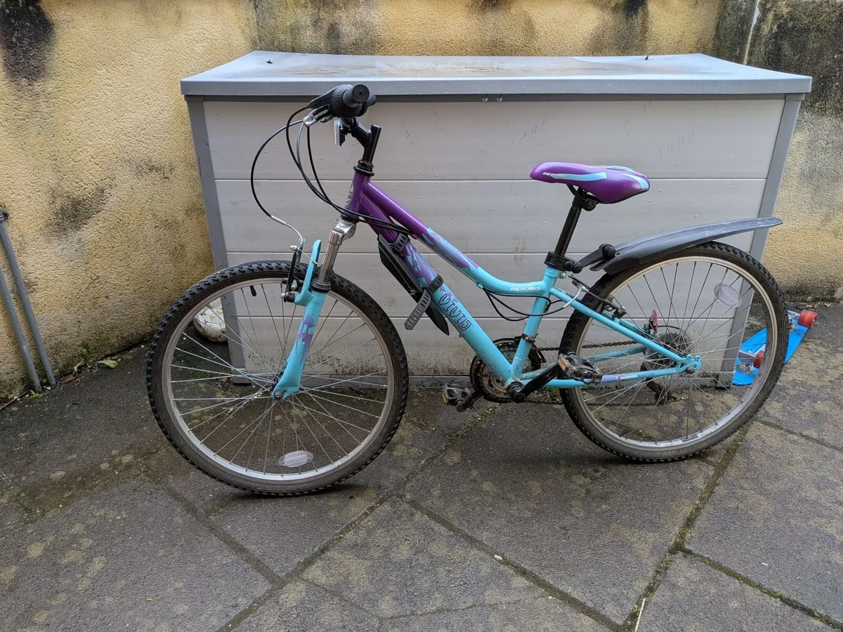 Junior Bike, 24" Wheel