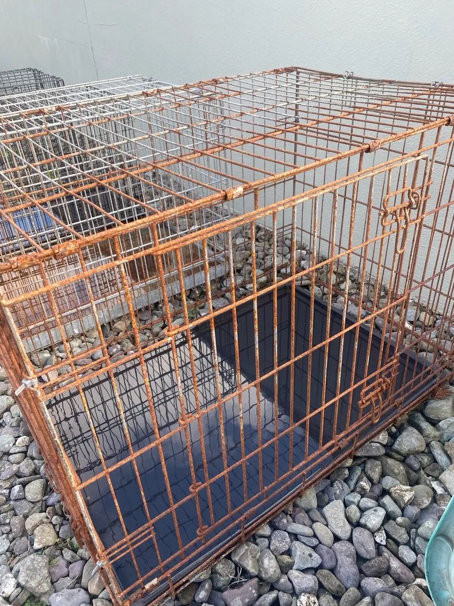 Dog cages - Image 4