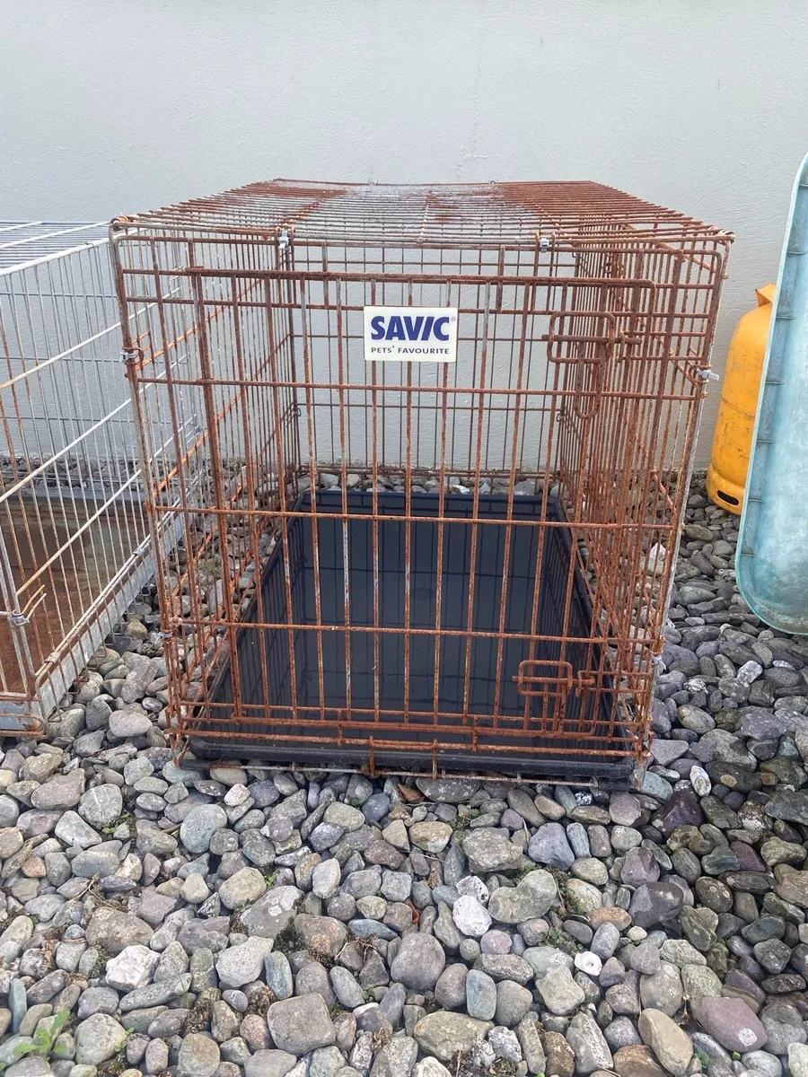 Dog cages - Image 2