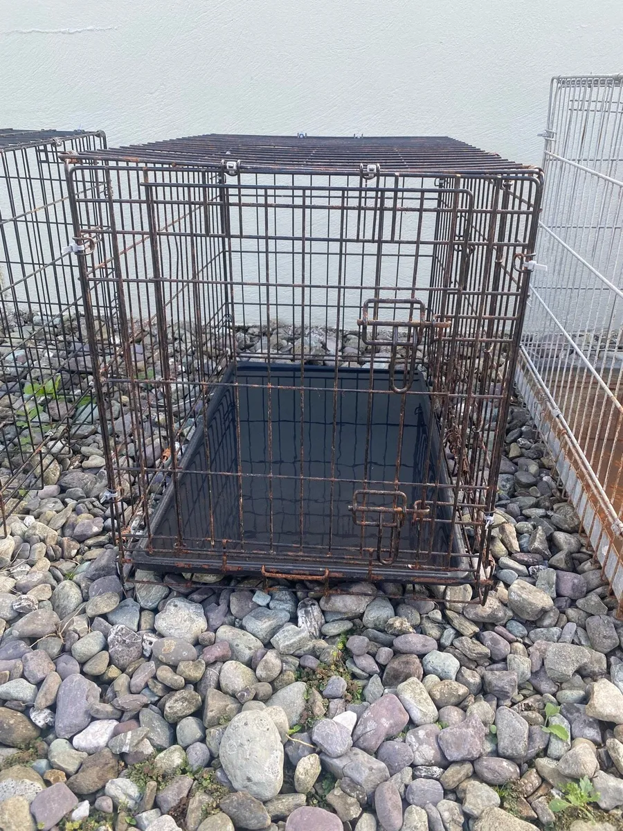 Dog cages - Image 1