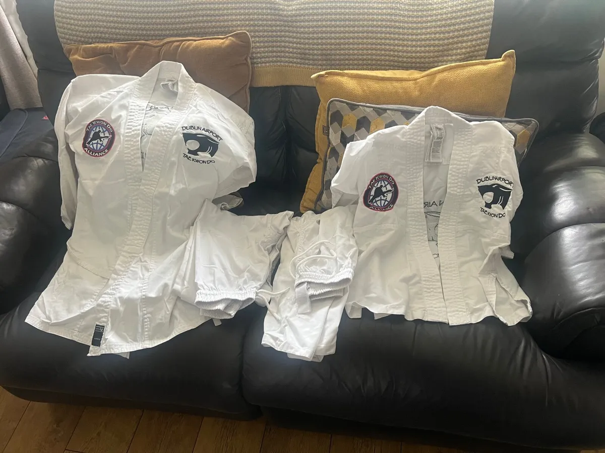Taekwondo - Image 1