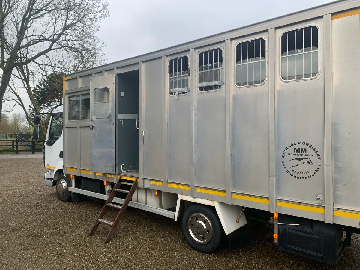 Horse truck 2011 3horse Renault Muslim - Image 2