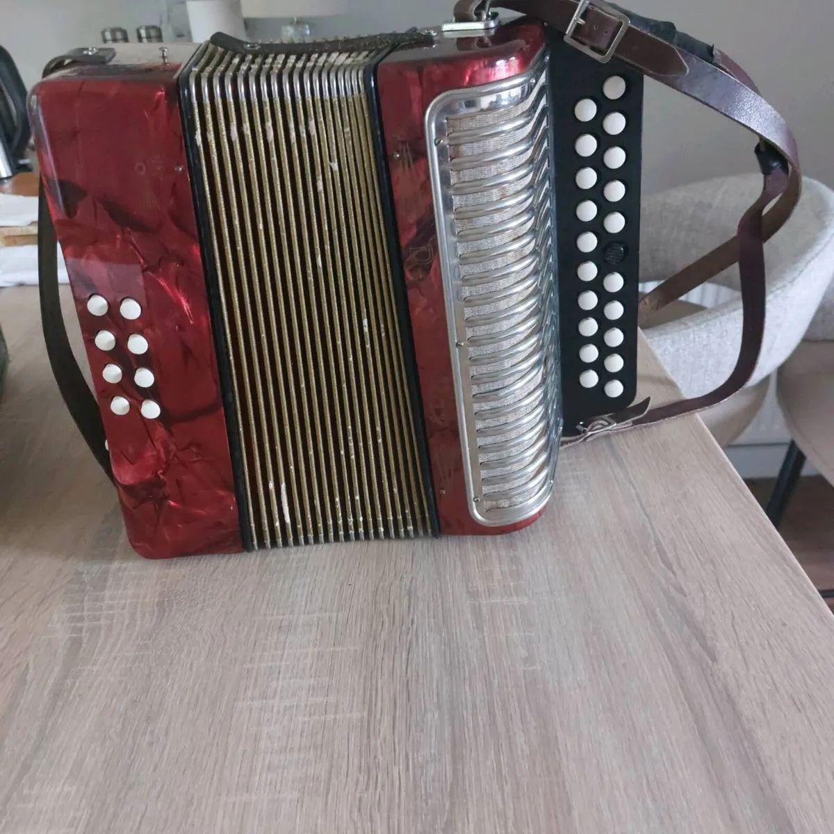 Hohner Black dot Accordian - Image 4