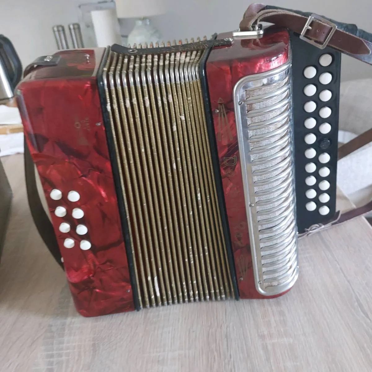 Hohner Black dot Accordian - Image 3