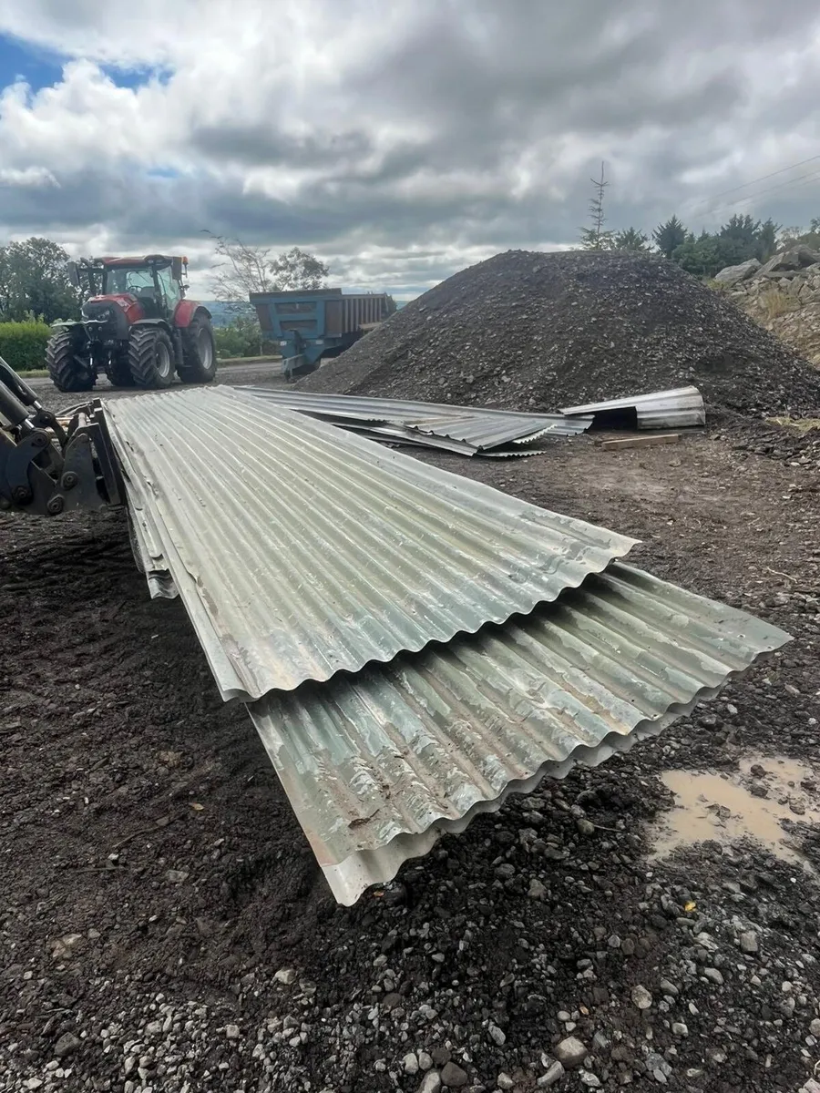 Shed sheeting. door. - Image 2