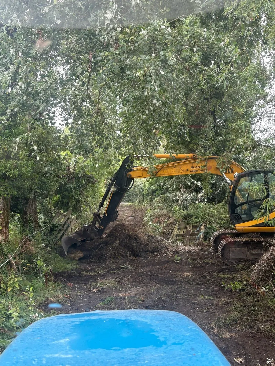 Digger hire - Image 4
