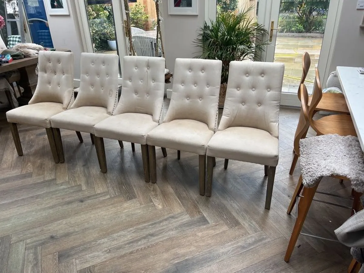 dining chairs - Image 2