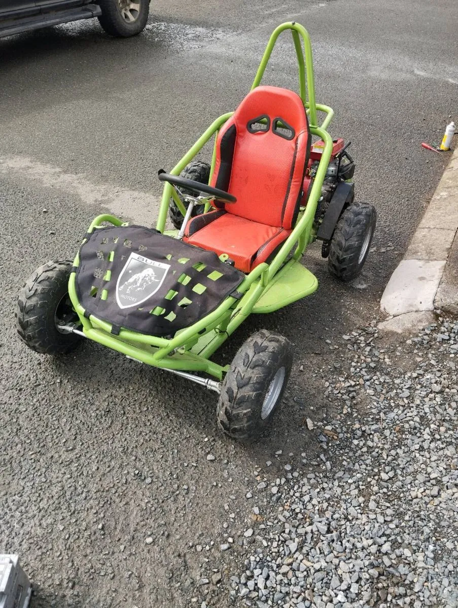 Quads /gocarts - Image 1