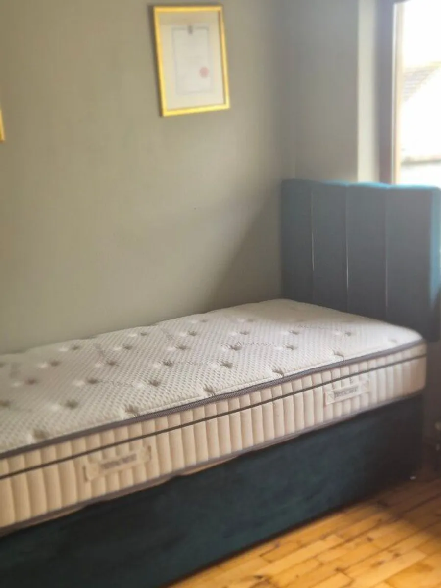 Two drawer single bed - Image 4