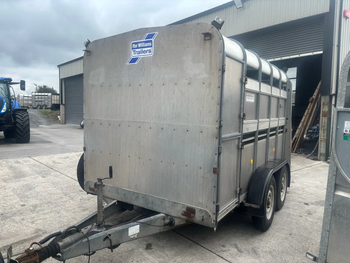 Ifor Williams 10x6 choice of 3 - Image 2