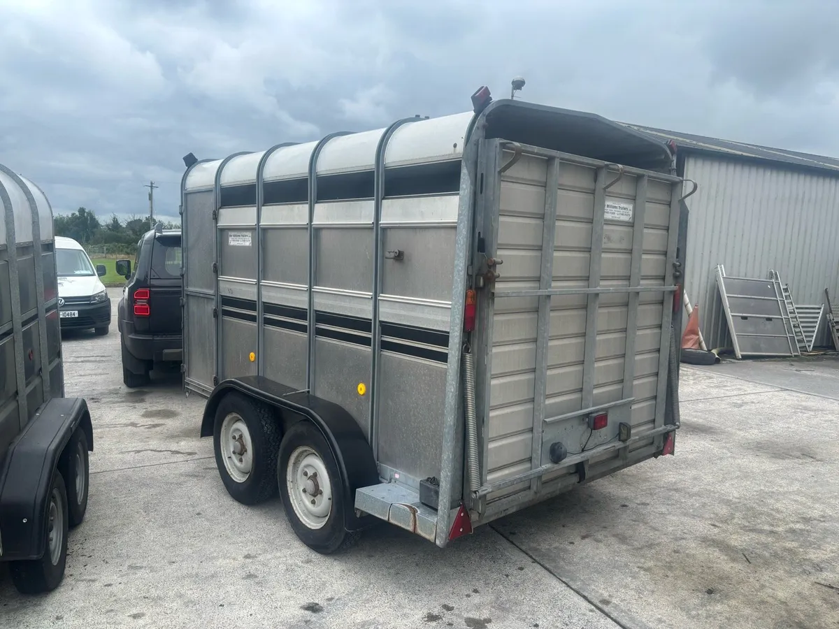 Ifor Williams 10x6 choice of 3 - Image 3