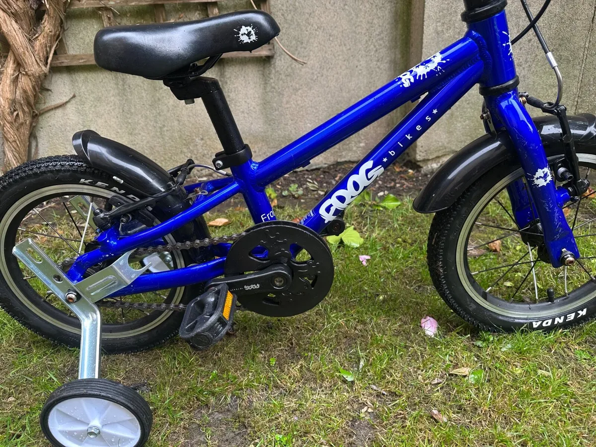Frog 40 Blue - Image 1