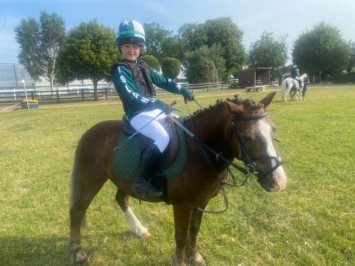 12h Beginner Pony - Image 2