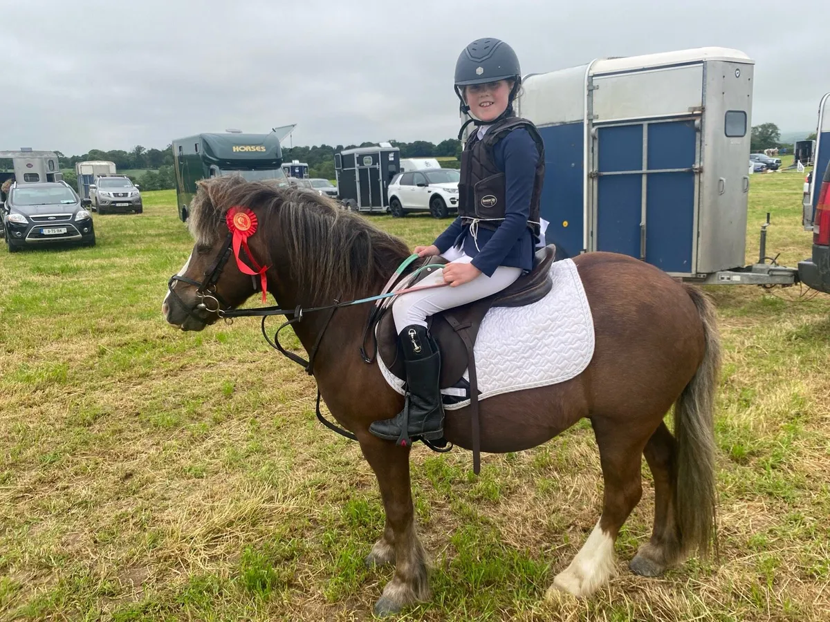 12h Beginner Pony - Image 4