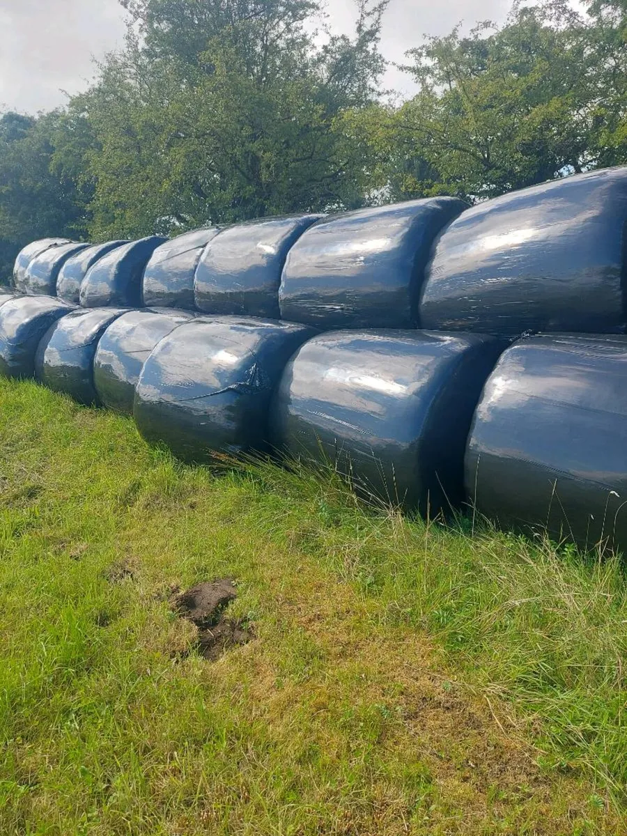 Silage bales